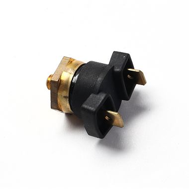 251822 VAILLANT termostat havarijní