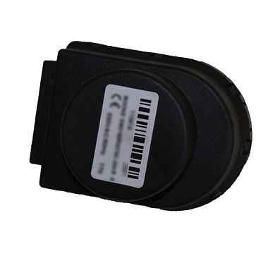 Motor pro kotle IMMERGAS
