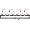 49070903 - rozdělovač a sběrač DN25 C70/F4 rozměry
